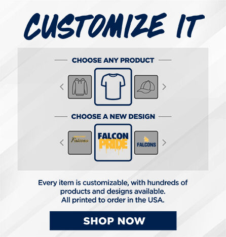 Maple Street  Falcons Small Multi Module Banner: 2024 Q1 - Customize It Banner