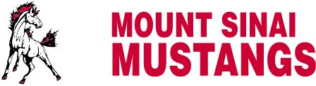 MOUNT SINAI HIGH SCHOOL Sideline Store Sideline Store