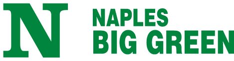 Naples High School