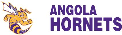 Angola High School