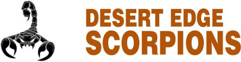 DESERT EDGE HIGH SCHOOL Sideline Store Sideline Store
