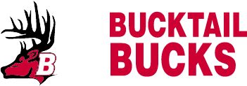 BUCKTAIL HIGH SCHOOL