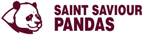 SAINT SAVIOUR HIGH SCHOOL