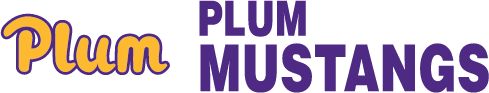 PLUM SCHOOL DISTRICT