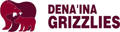 Dena'ina Elementary School