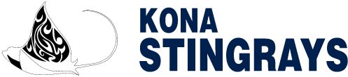 Kona Stingrays Basketball