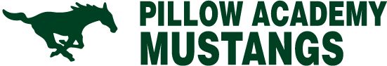 Pillow Academy Sideline Store Mustangs (GREENWOOD, MISSISSIPPI) Spirit Apparel & Accessories Store