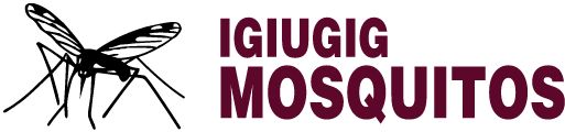 Igiugig School Sideline Store