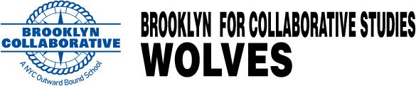 Brooklyn School For Collaborative Studies Sideline Store Sideline Store
