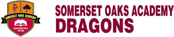 Somerset Oaks Academy Sideline Store Dragons (HOMESTEAD, FLORIDA) Spirit Apparel & Accessories Store