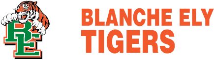 Blanche Ely Tigers - GroupRateIt Blankets