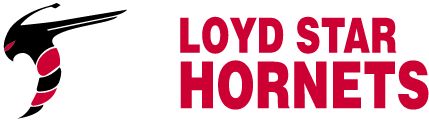 LOYD STAR HIGH SCHOOL Sideline Store Hornets (BROOKHAVEN, MISSISSIPPI) Spirit Apparel & Accessories Store