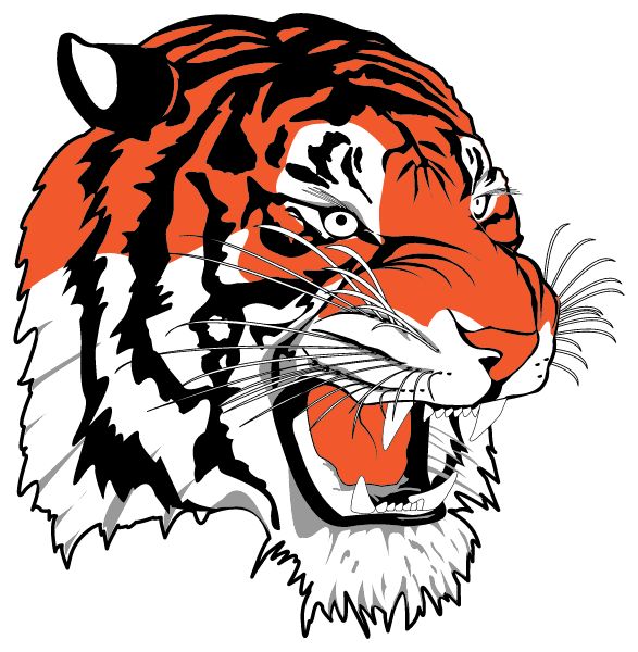 SENECA EAST HIGH SCHOOL Sideline Store Tigers (ATTICA, OHIO) Spirit Apparel & Accessories Store