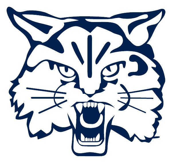 RAUNER COLLEGE PREP Sideline Store Wildcats (CHICAGO, ILLINOIS) Spirit Apparel & Accessories Store