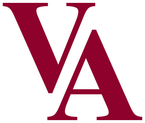 VILLAGE ACADEMY Logo