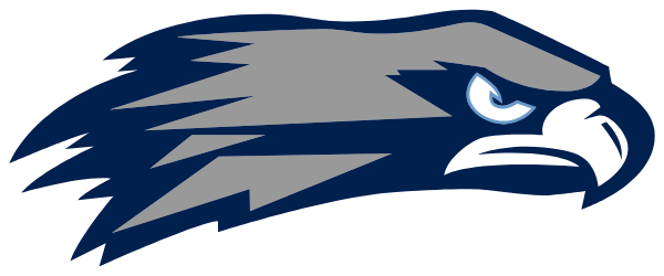 Skyview High School Logo