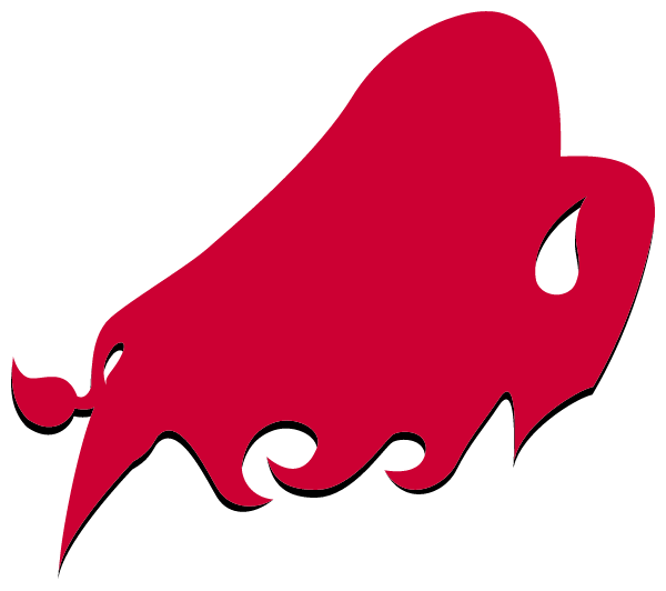 STANTON HIGH SCHOOL Logo