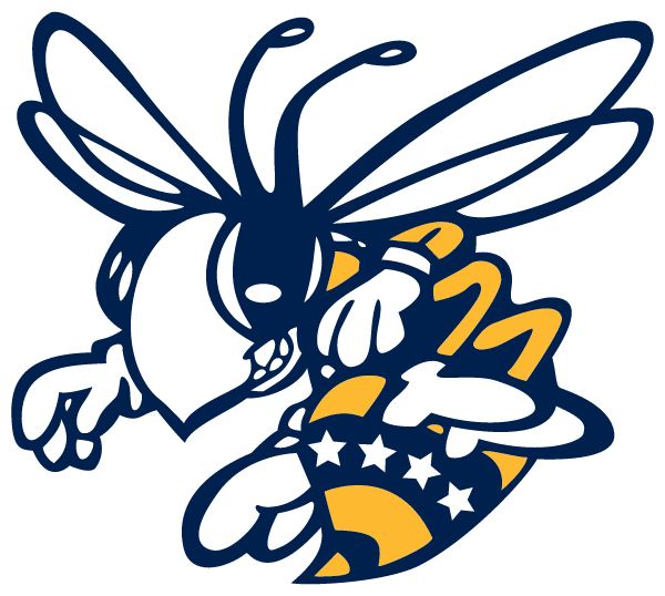 STEPHENVILLE HIGH SCHOOL Logo