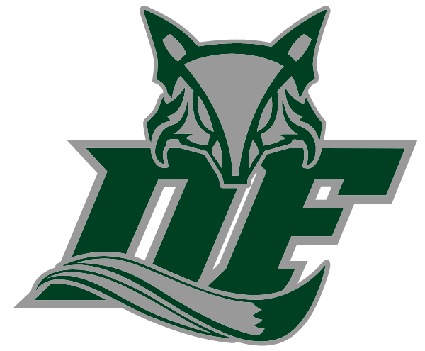 DUTCH FORK HIGH SCHOOL Logo