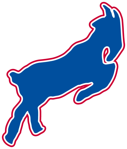 SOUTH HIGH SCHOOL Logo