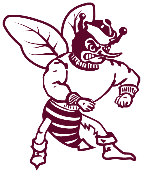 TULIA HIGH SCHOOL Logo