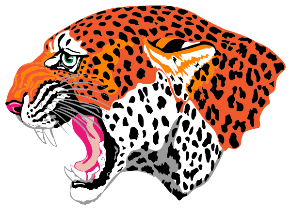 VAN VLECK HIGH SCHOOL Logo