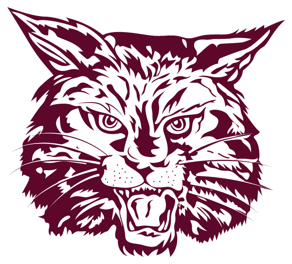 BETHEL HIGH SCHOOL Logo
