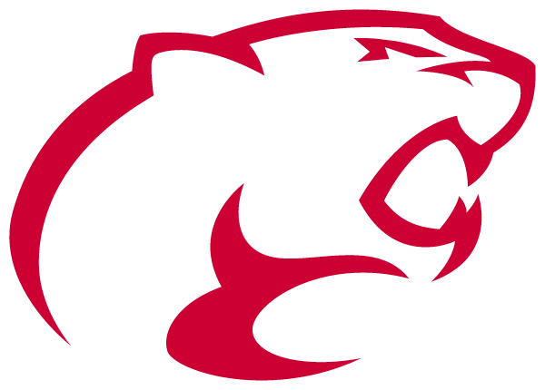 BRAZOS HIGH SCHOOL Logo