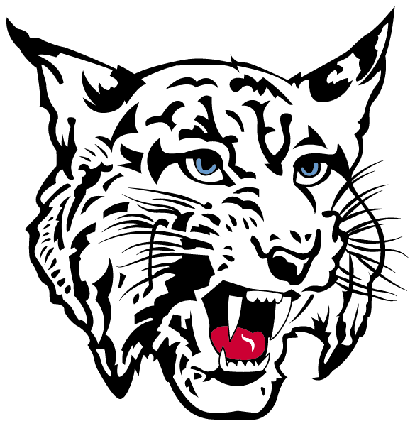 CHARLOTTE VALLEY CENTRAL SCHOOL Logo