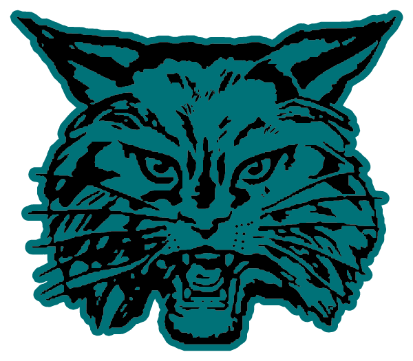 ACADEMY OF TUCSON Logo