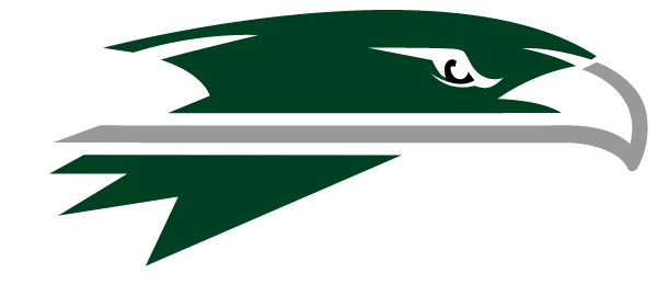 TANQUE VERDE HIGH SCHOOL Logo