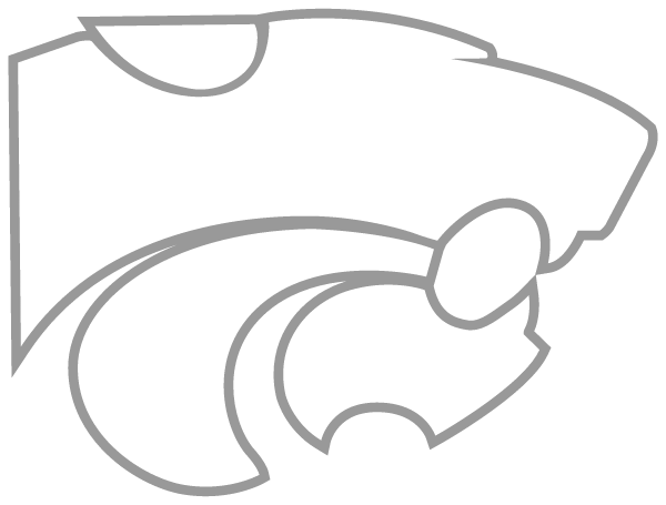 BIG SANDY HIGH SCHOOL Logo