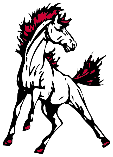 MOUNT SINAI HIGH SCHOOL Logo