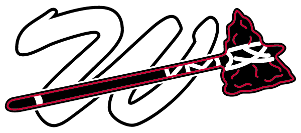 TOM MOORE HIGH SCHOOL Logo