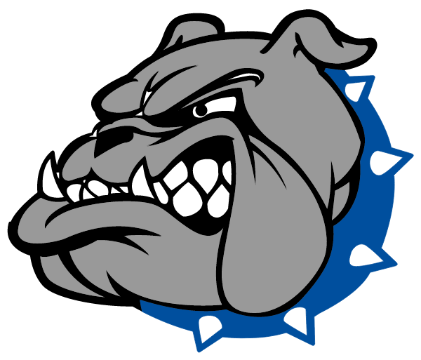 Desoto County High School Logo