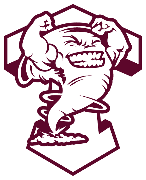 TEXLINE HIGH SCHOOL Logo