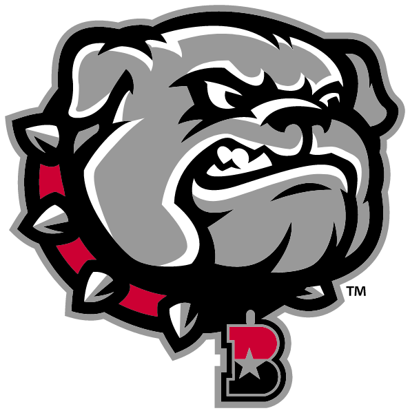 BOWIE HIGH SCHOOL Logo