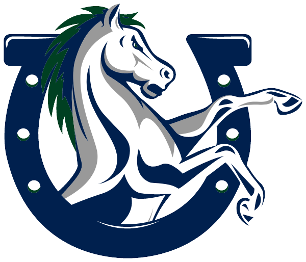 MCNEIL HIGH SCHOOL Logo