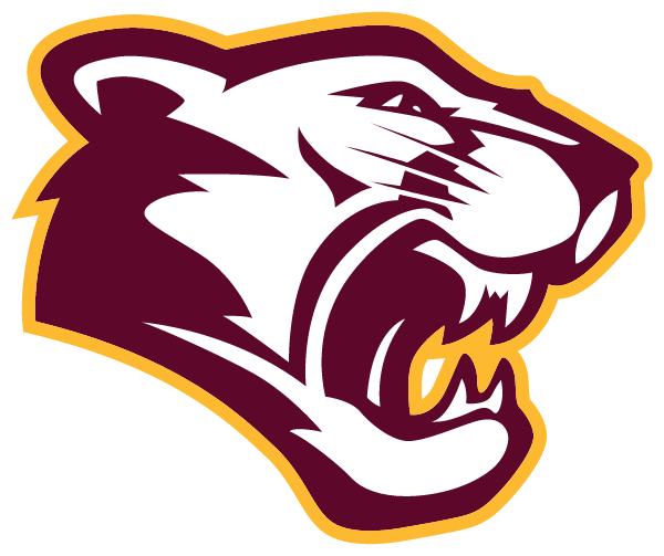 McLEAN COUNTY HIGH SCHOOL Logo