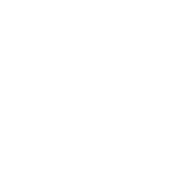 BIRDVILLE HIGH SCHOOL Logo