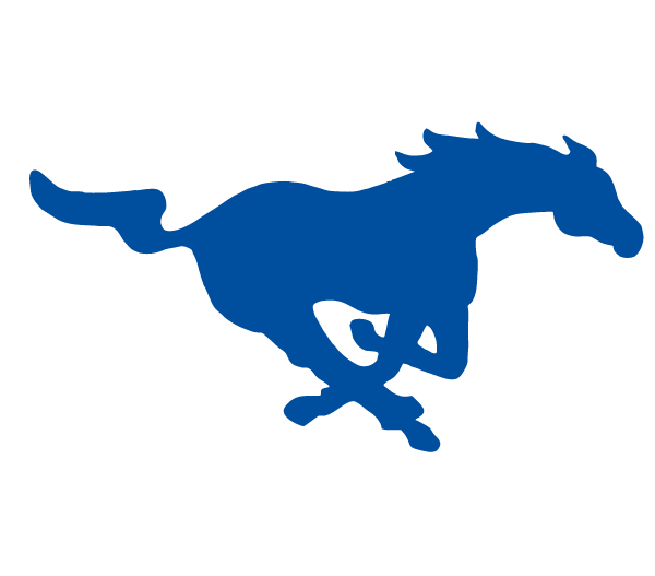 CITY VIEW HIGH SCHOOL Logo