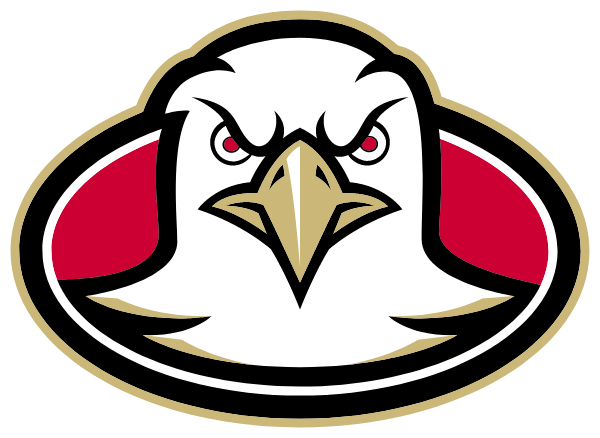 FAIRVIEW HIGH SCHOOL Logo