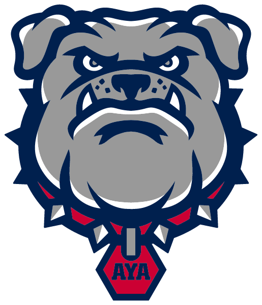 Akiba Yavneh Academy Logo