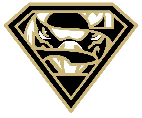 SANTEE EDUCATION COMPLEX Sideline Store Falcons (LOS ANGELES, CALIFORNIA) Spirit Apparel & Accessories Store