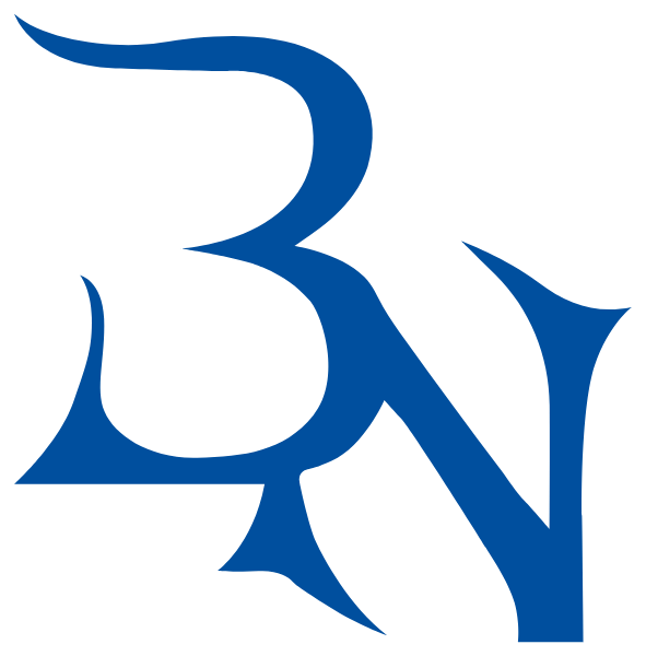 BYRON NELSON HIGH SCHOOL Logo