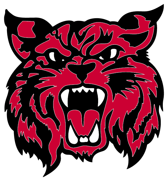BRAYMER C-4 SCHOOLS Logo
