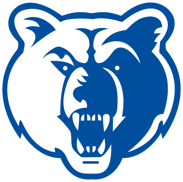 CAMDEN COUNTY HIGH SCHOOL Logo