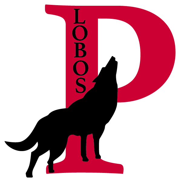 PALMVIEW HIGH SCHOOL Logo