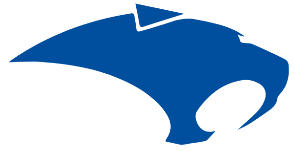 VELA HIGH SCHOOL Logo