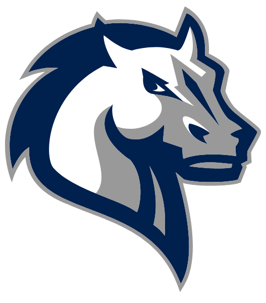 Mercy University Logo